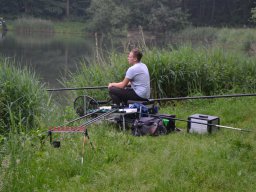 Competities HSV Alfheim